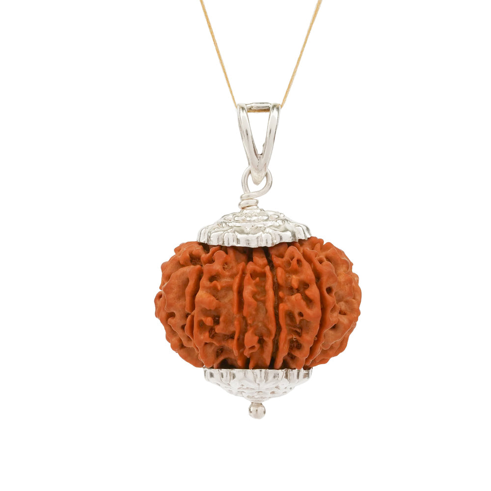 11 Mukhi Nepali Rudraksha Bead