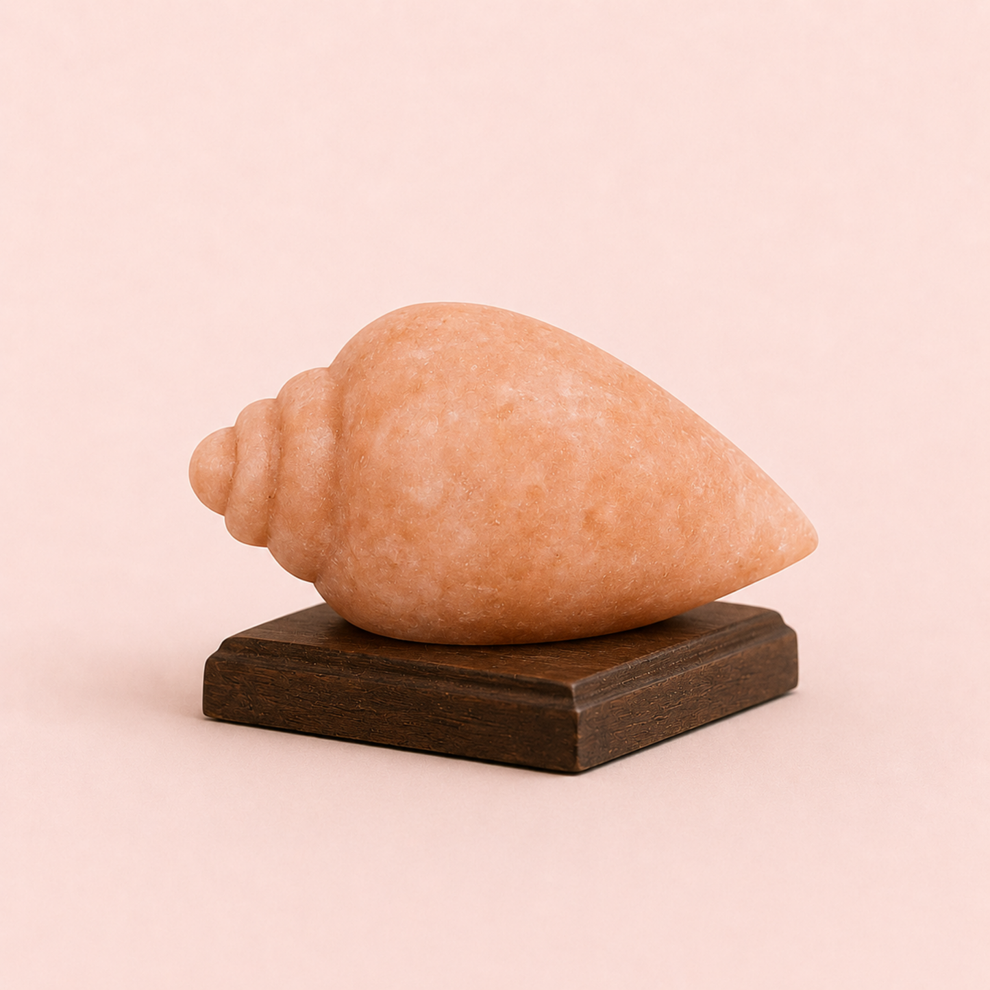 Shankh Salt Lamp