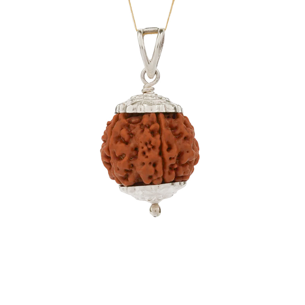 6 Mukhi Nepali Rudraksha Bead