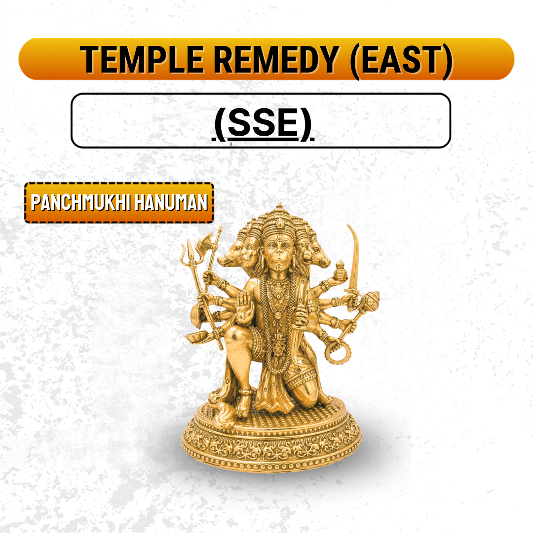 Temple Remedies Combo Pack