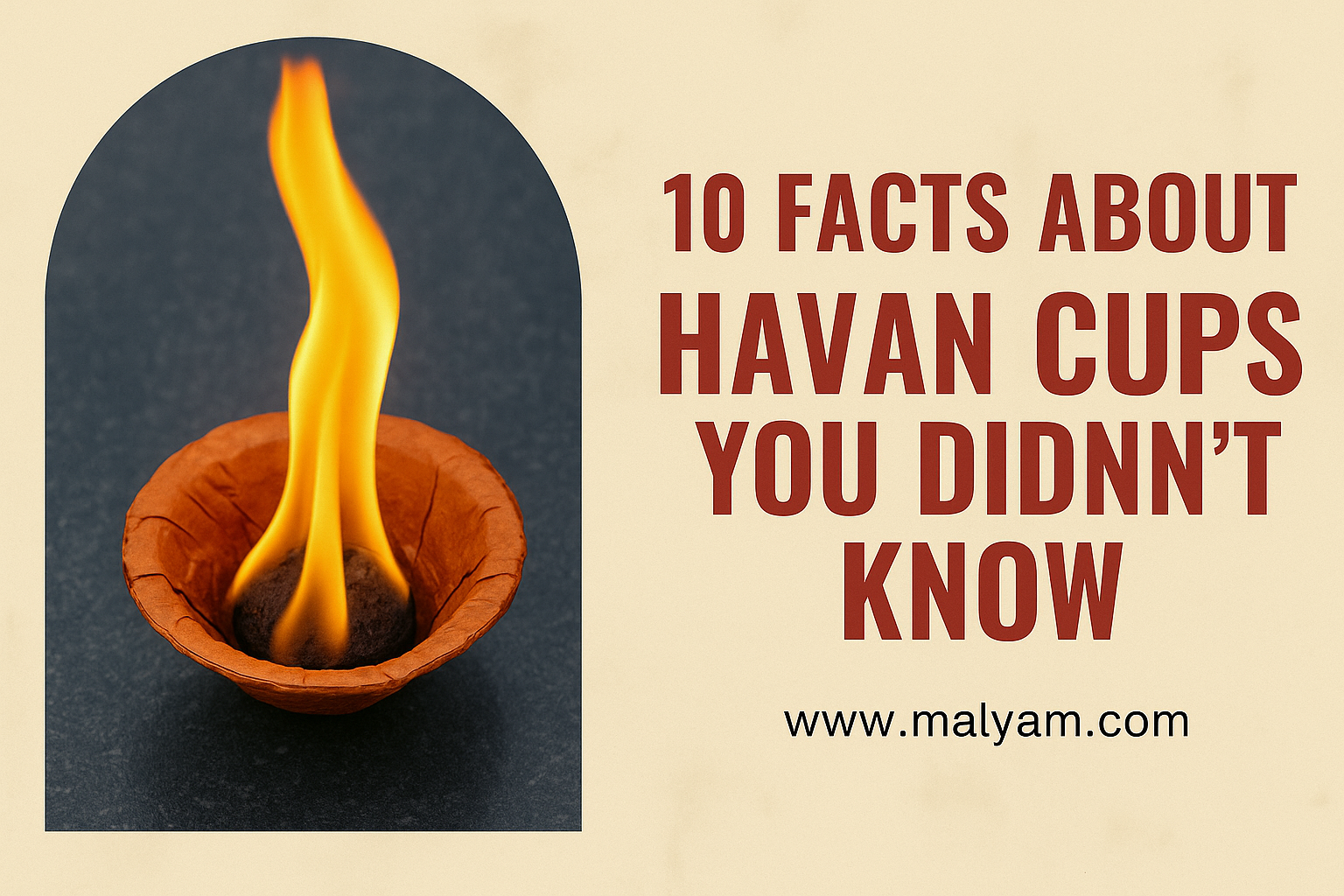 🔥 10 Facts About Havan Cups You Didn’t Know