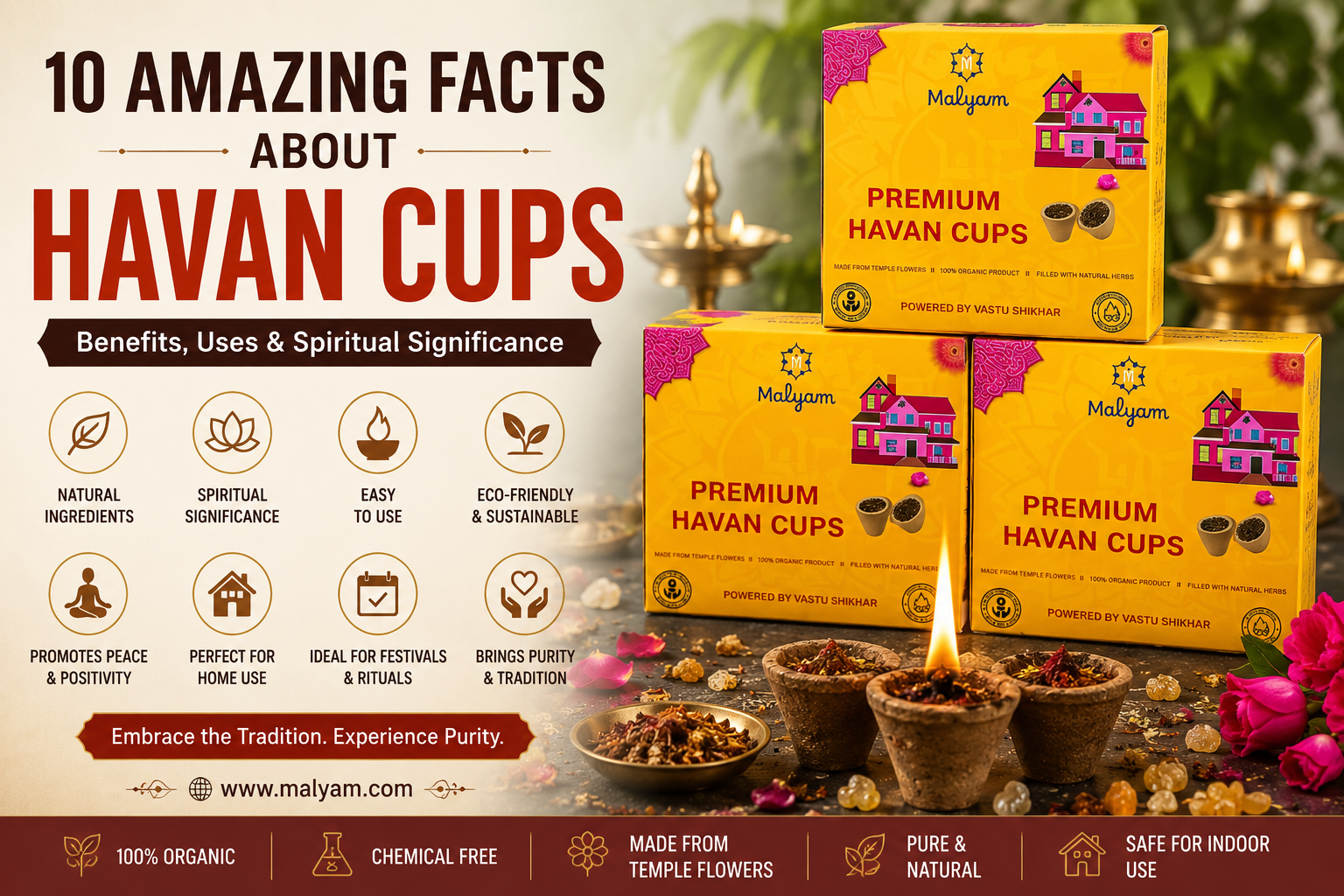 10 Amazing Facts of Havan Cups with Benefits, Uses, and Spiritual Significance