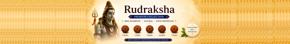 Rudraksha