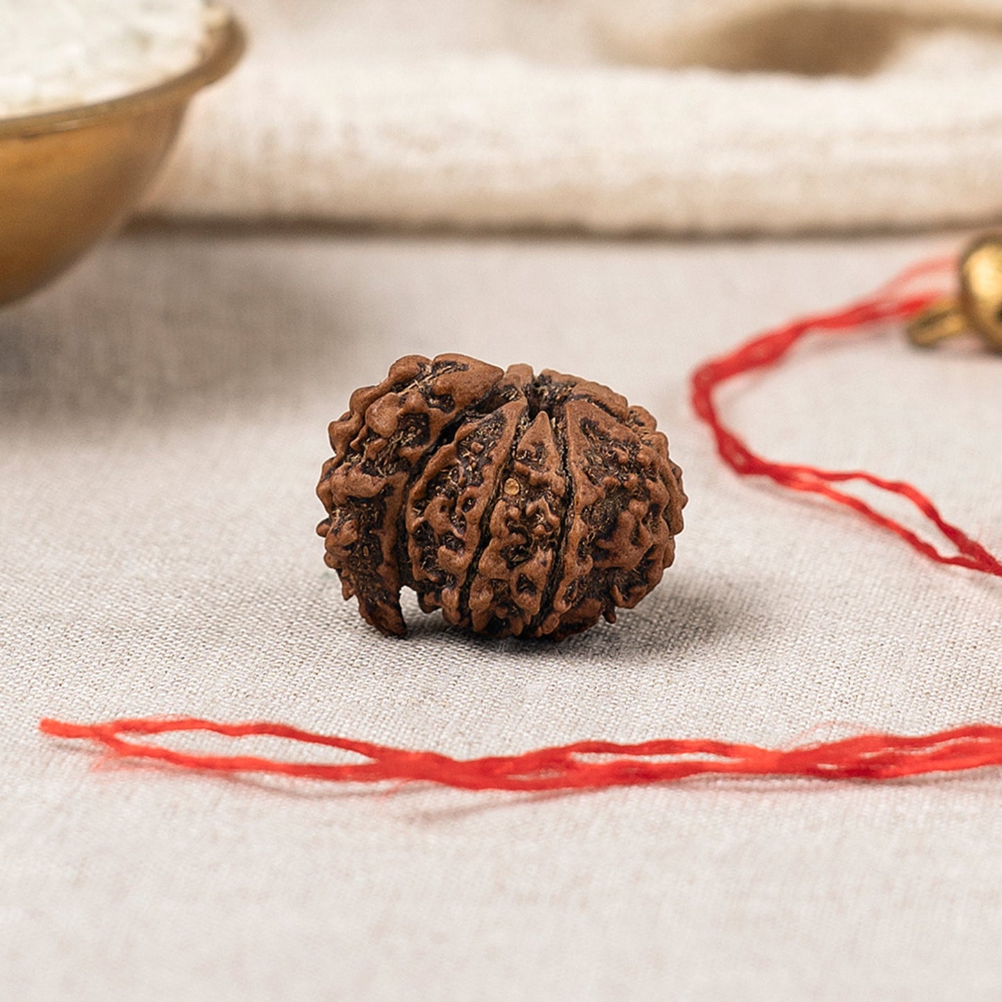 1 Mukhi Nepali Rudraksha Bead