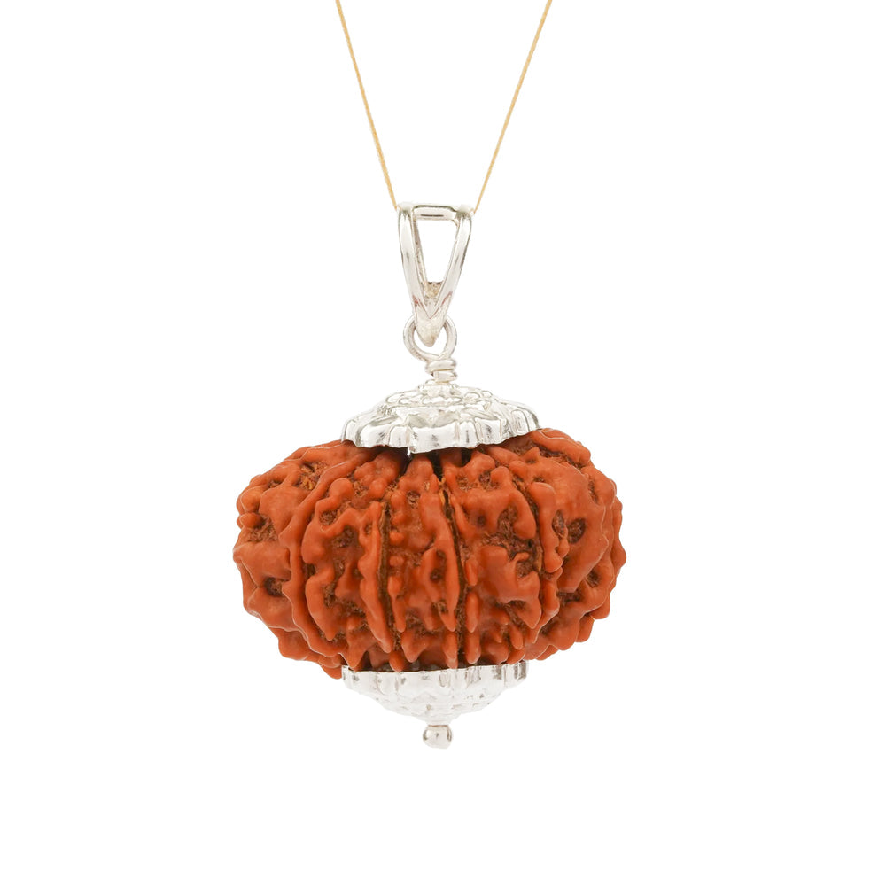 10 Mukhi Nepali Rudraksha Bead