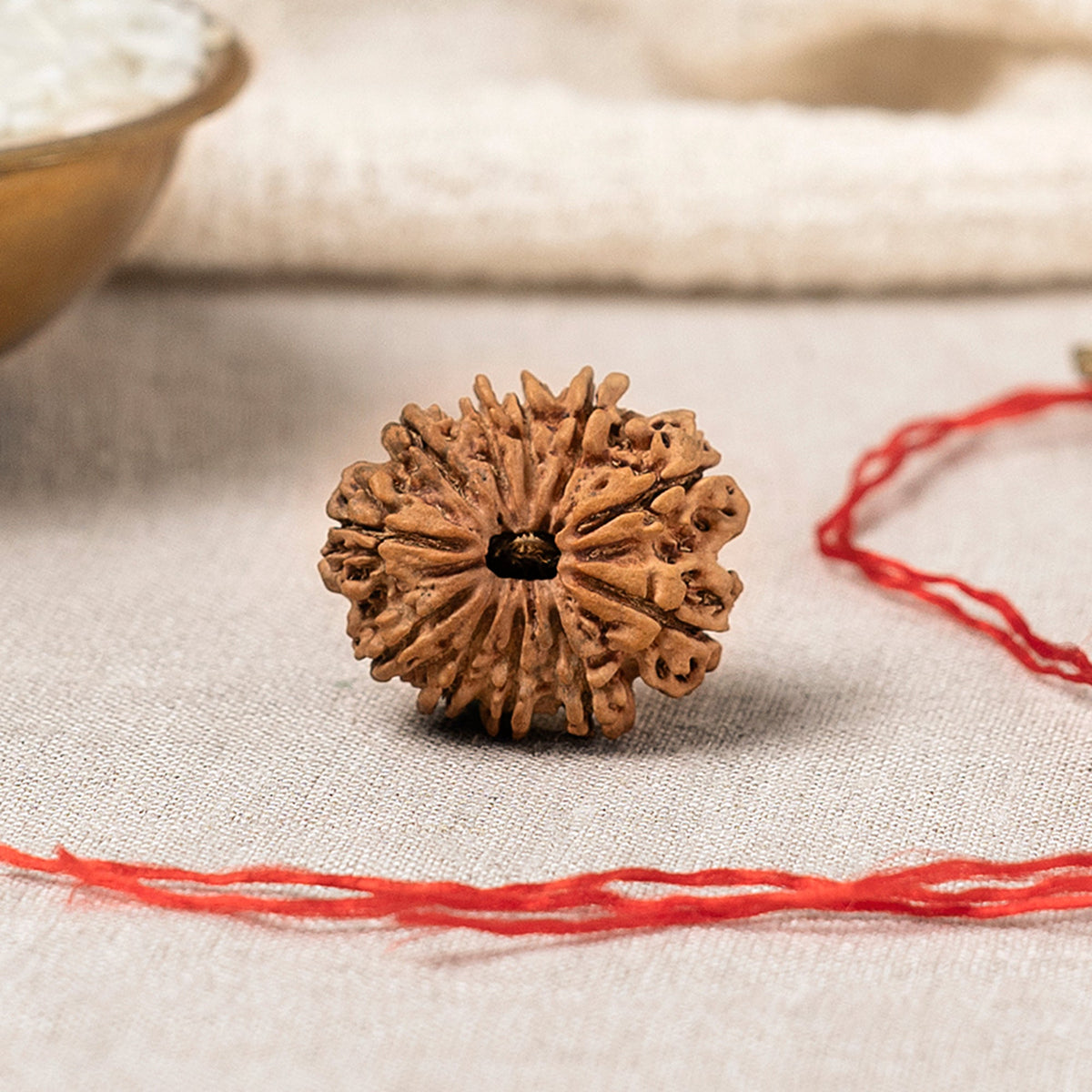 11 Mukhi Nepali Rudraksha Bead