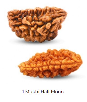 Rudraksh - 1 Mukhi