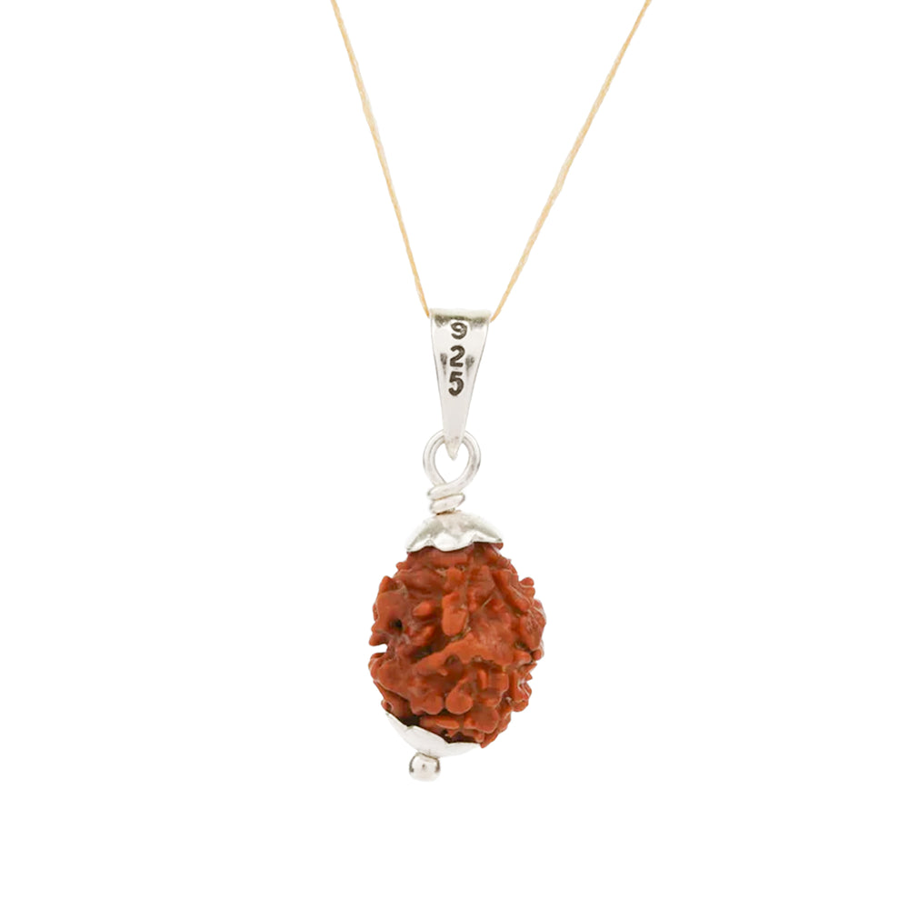 2 Mukhi Nepali Rudraksha Bead