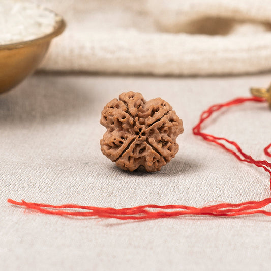 4 Mukhi Nepali Rudraksha Bead