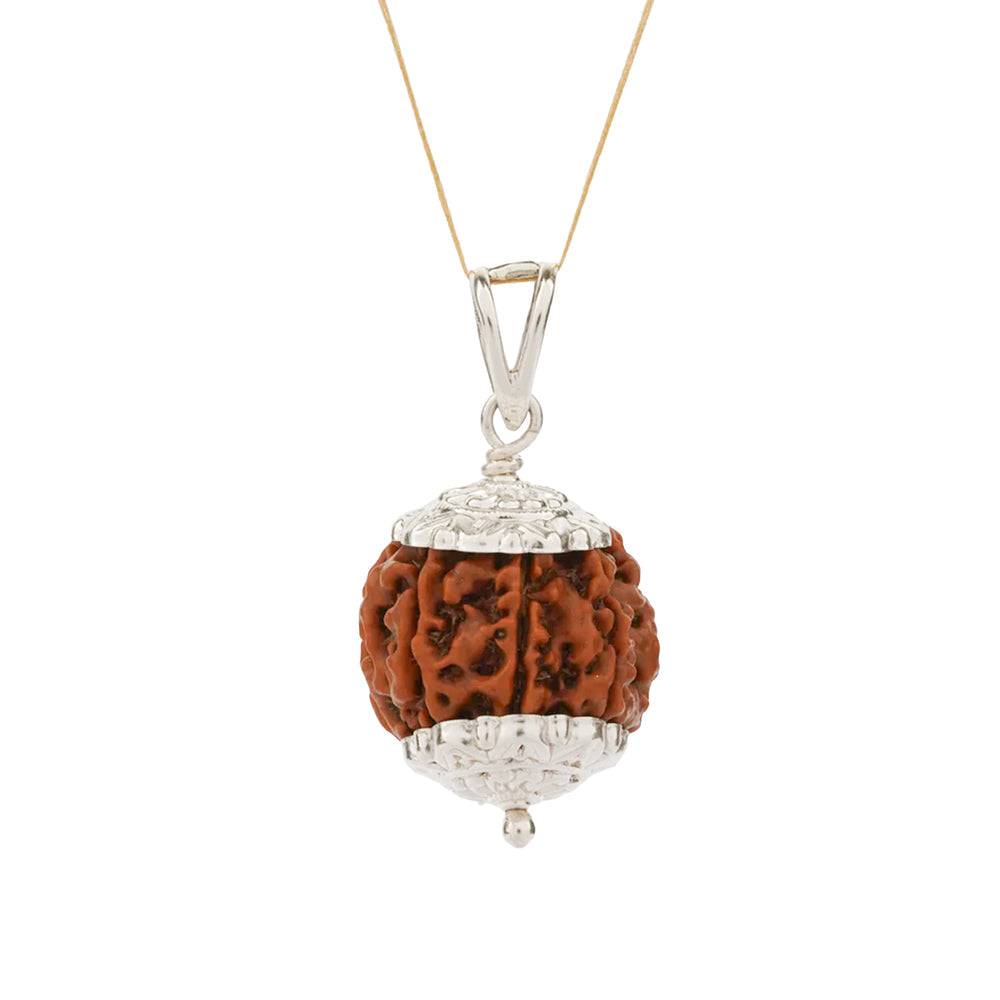 7 Mukhi Nepali Rudraksha Bead