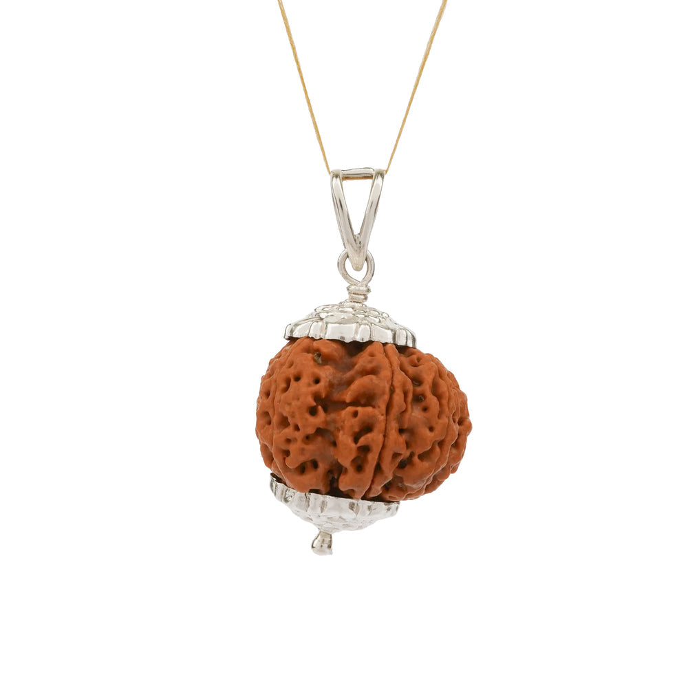 8 Mukhi Nepali Rudraksha Bead