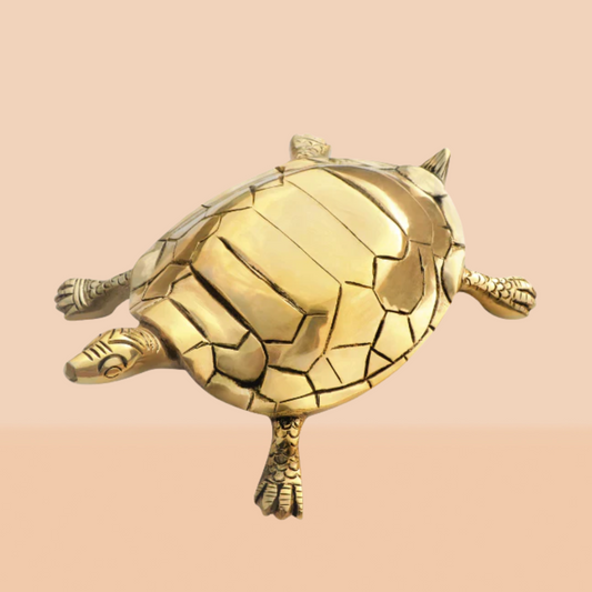 BRASS BIG TURTLE 01 WITH YANTRA