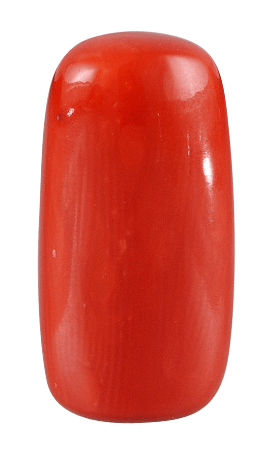 RED CORAL