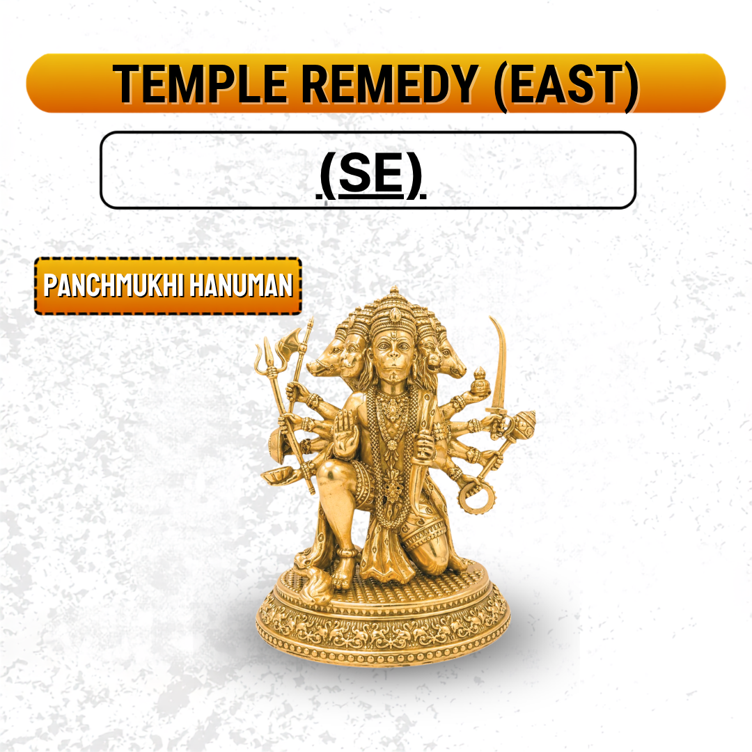 Temple Remedies Combo Pack