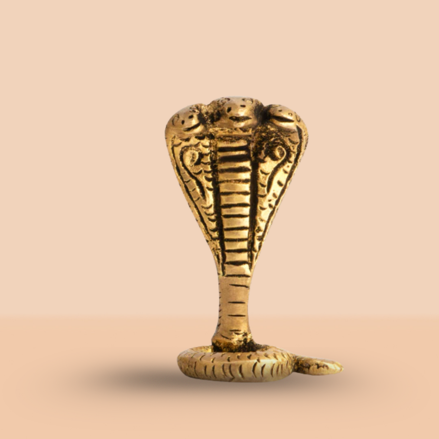VASTU BRASS SNAKE