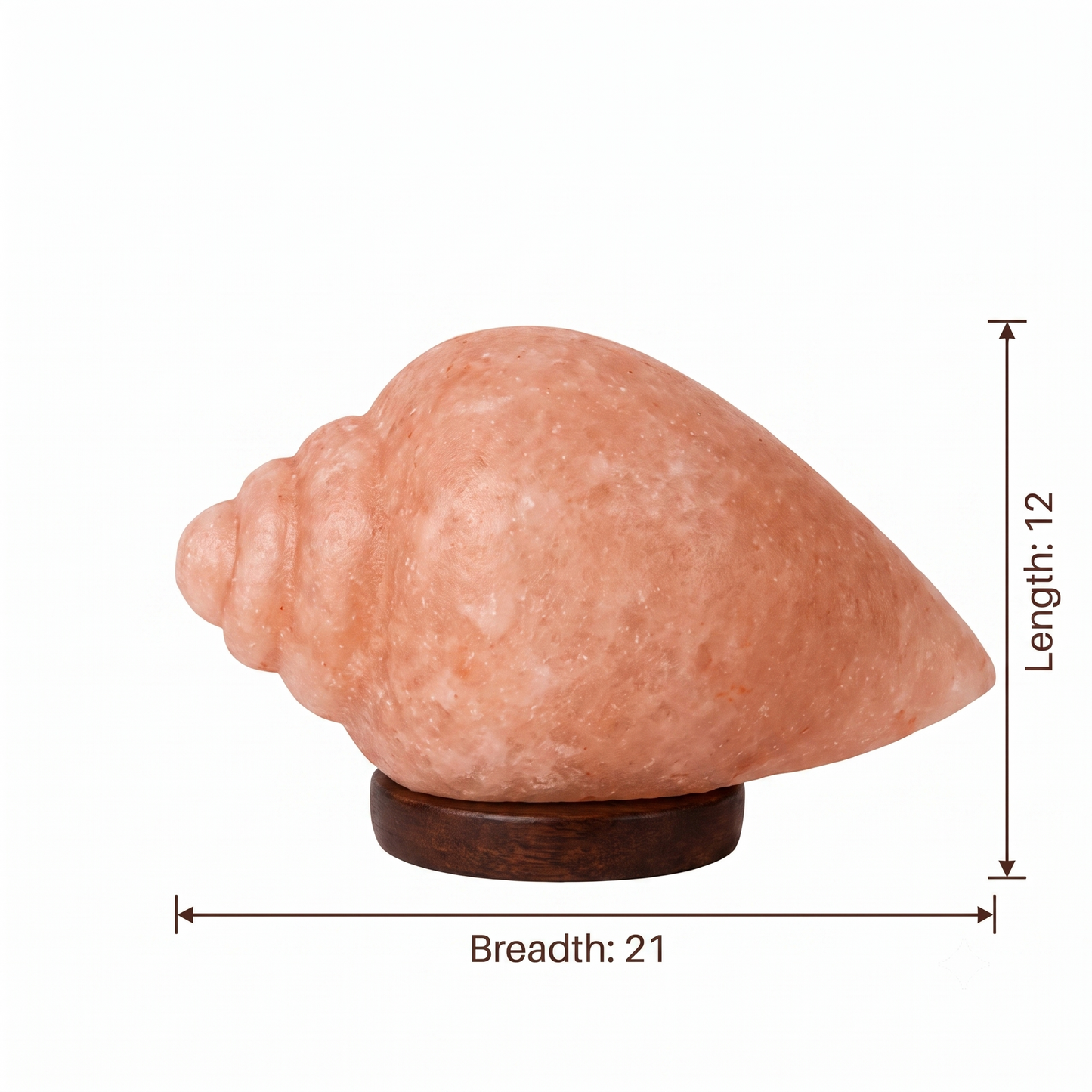 Shankh Salt Lamp